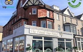 The Fossil Tree Hotel Blackpool